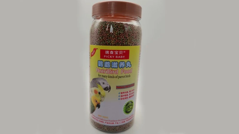 parrot bird feed parrot bird feed