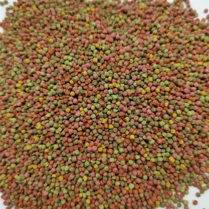 baby parrot bird food baby parrot bird food