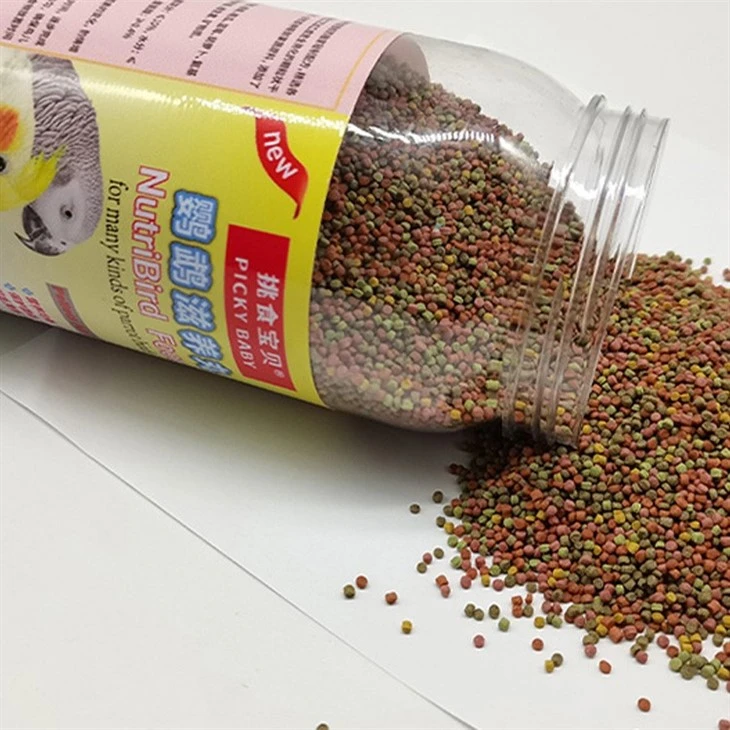 small parrot bird food small parrot bird food