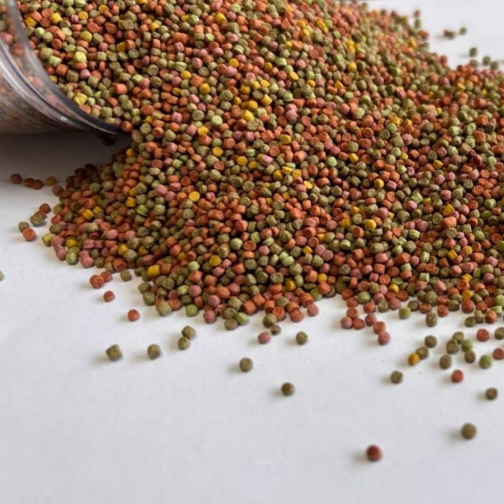 Parrot Food Parrot Food